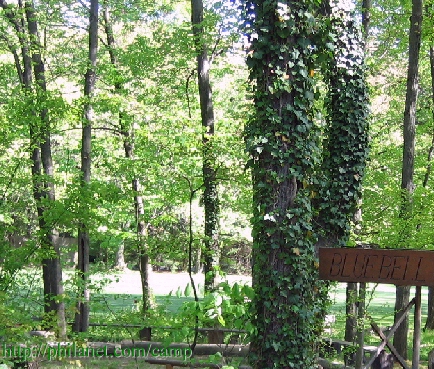 Blue 
Bell Camp's Welcome Area